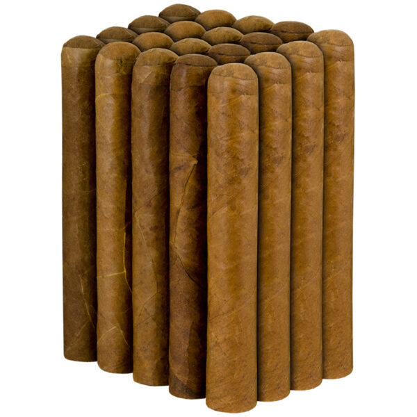 25 Robustos (bundle)